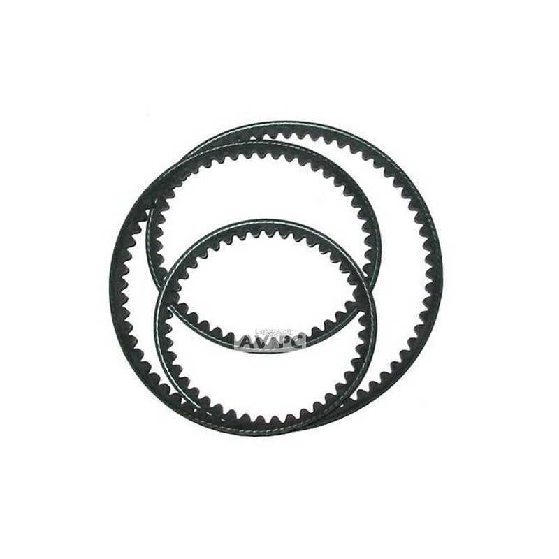 Courroie LUREM pour la scie C260