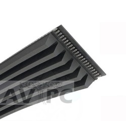 Courroie d'entraînement Vélo PODIUM