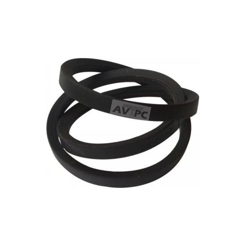 Courroie Trapézoïdale pour LUREM C260