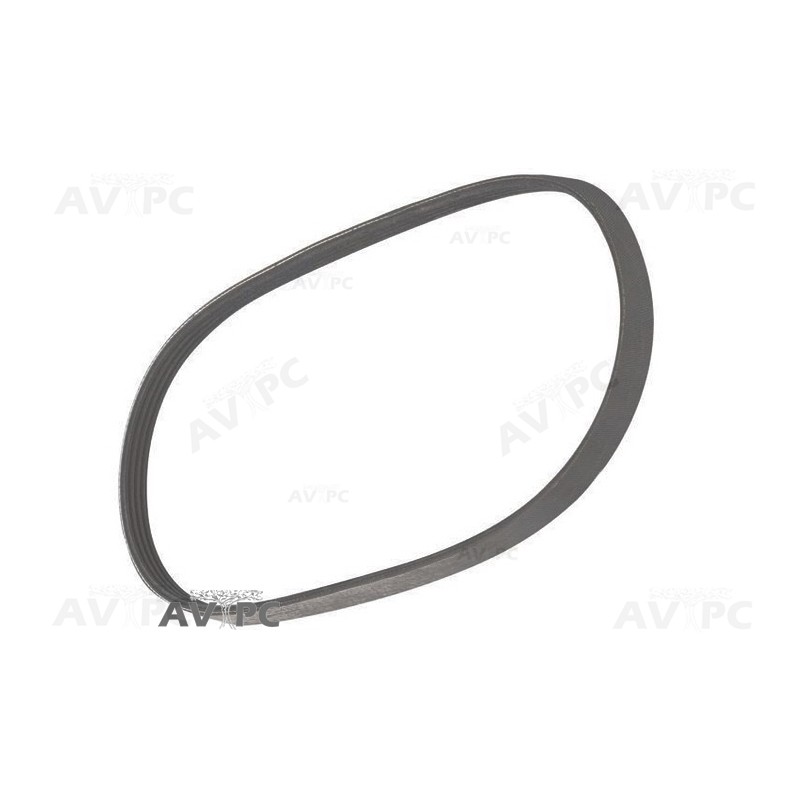 Courroie pour Scie à Ruban Fox F28-186, F28-186A