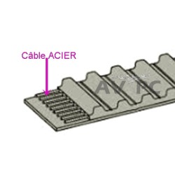 Courroie T10 pour robot Piscine