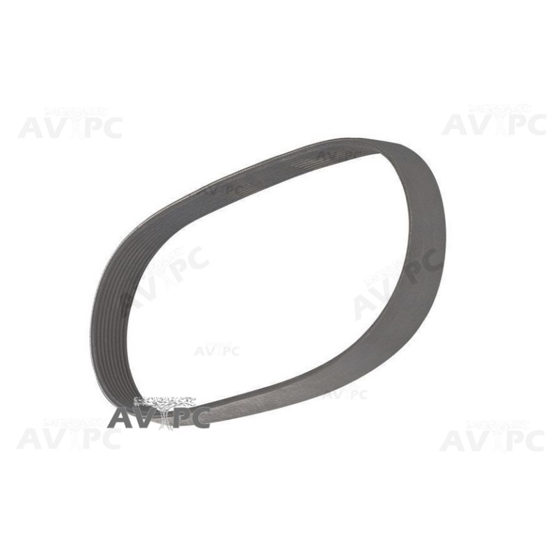 Courroie Striée Poly-V 559PJ9