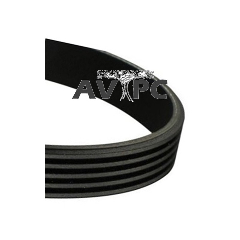 Guide de roue de tendeur de rouleau de poulie de chaîne d'entraînement de 10 mm pour le vélo de Guide de roue de tendeur de rouleau de poulie de chaîne d'entraînement de 10 mm pour le vélo de