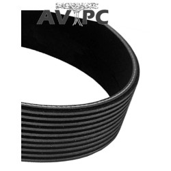 Courroie 257531100 pour LUREM