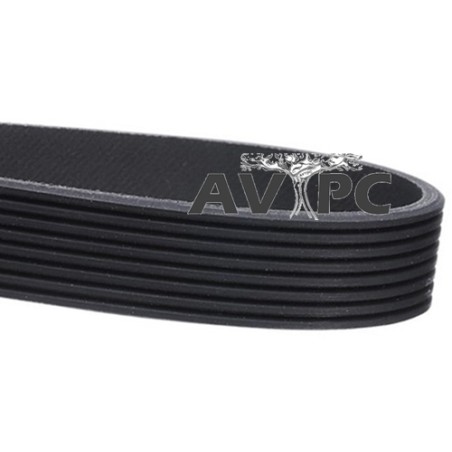 Courroie Striée Poly-V 559PJ8