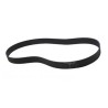 Courroie Plate LUREM C260